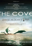 The Cove