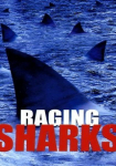 Raging Sharks