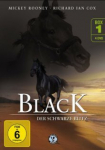 The Adventures of Black Stallion