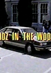 Kidz in the Wood