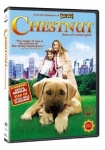 Chestnut - Hero of Central Park