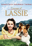 Courage of Lassie