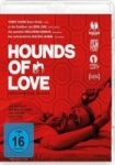 Hounds of Love