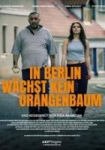 In Berlin wächst kein Orangenbaum